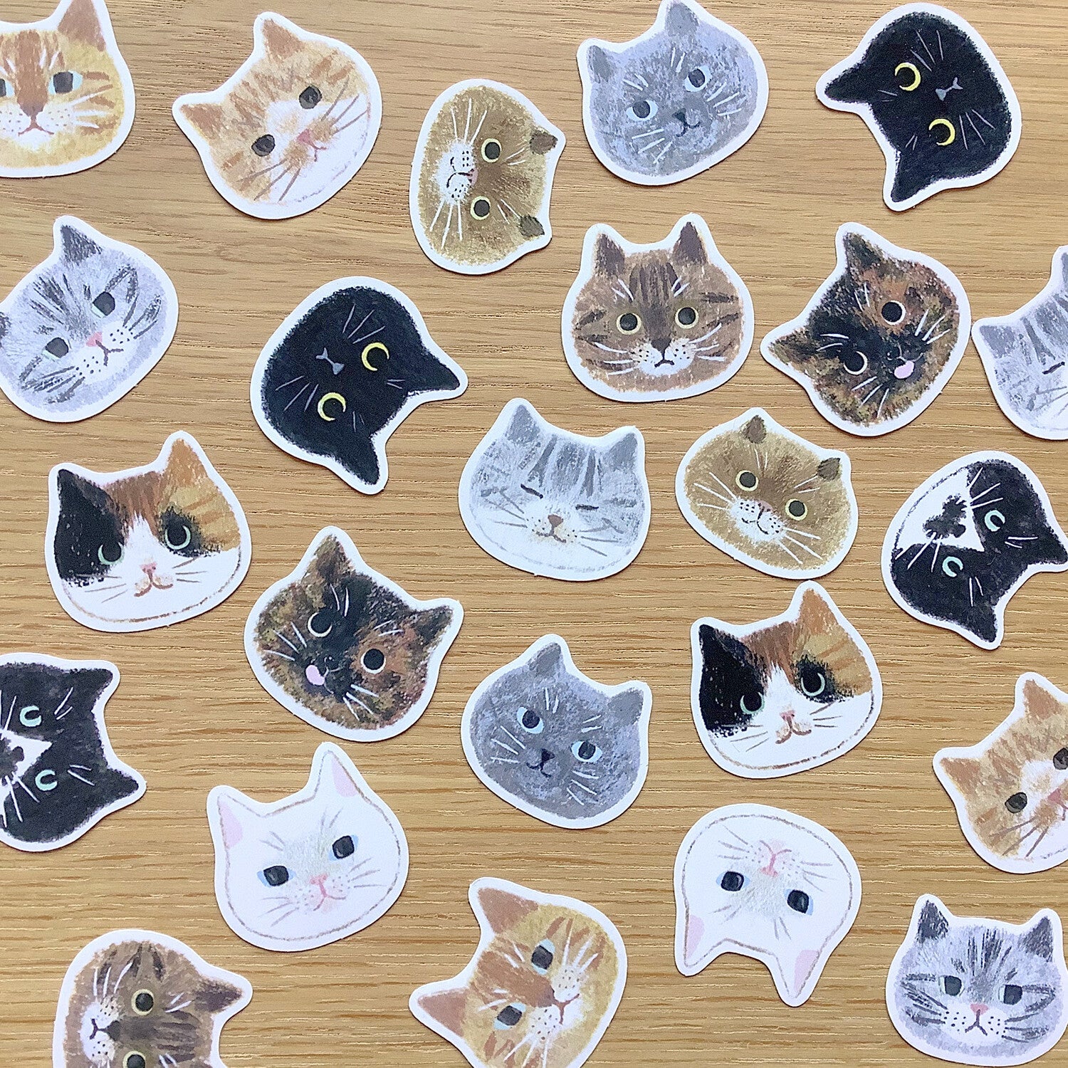 Cat Faces - Flake Stickers