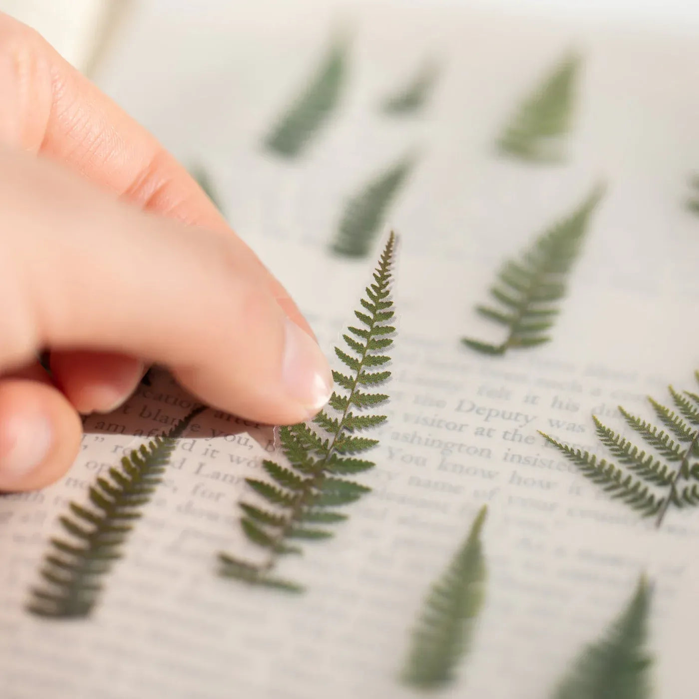 Bracken Fern Pressed Flower Sticker Sheet