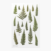 Set of green fern leaf stickers on a white background