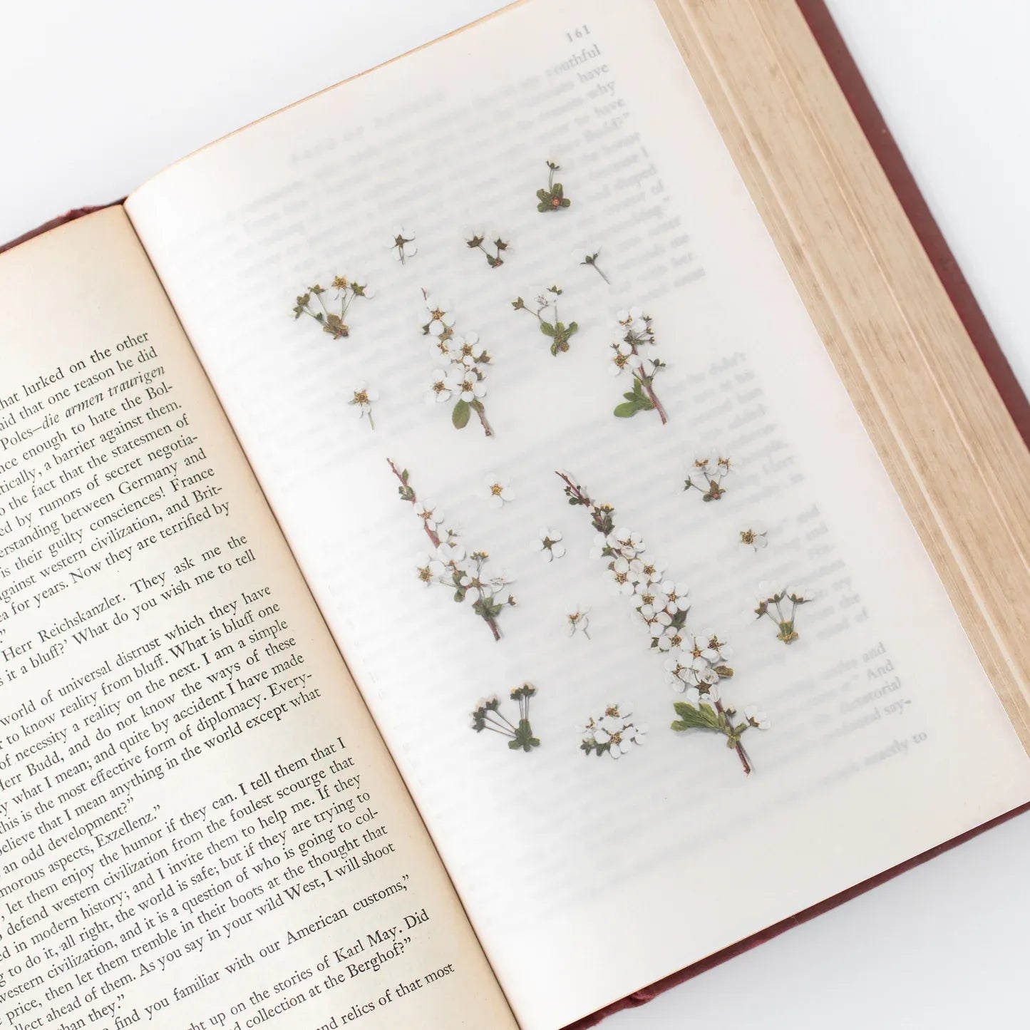 Bridal Wreath Pressed Flower Sticker Sheet