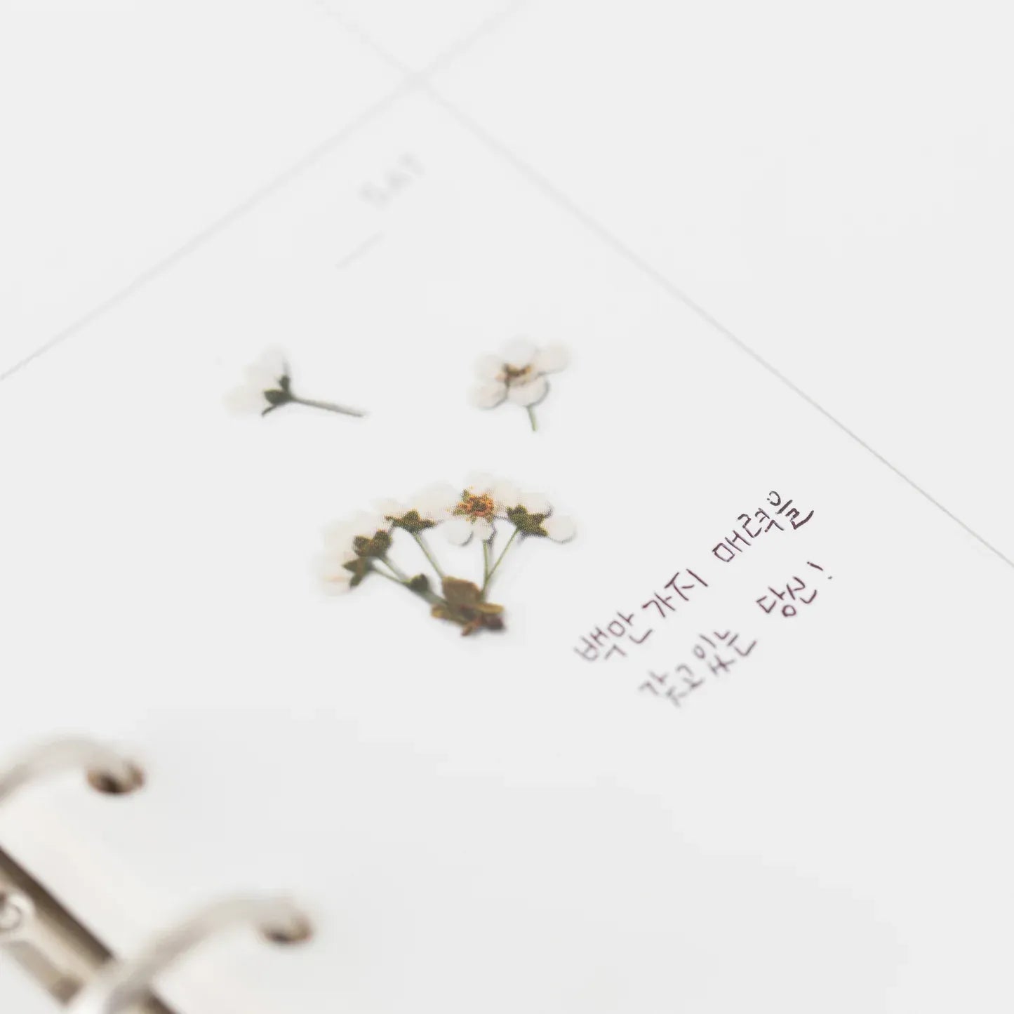 Bridal Wreath Pressed Flower Sticker Sheet