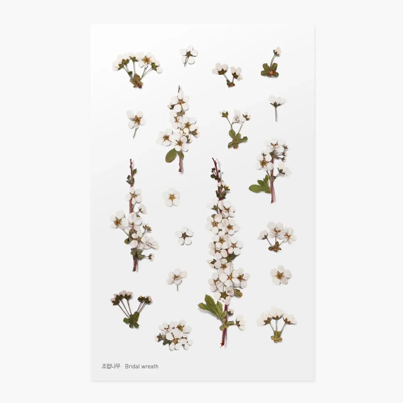 Set of small bridal wreath floral and leaf stickers on a white background