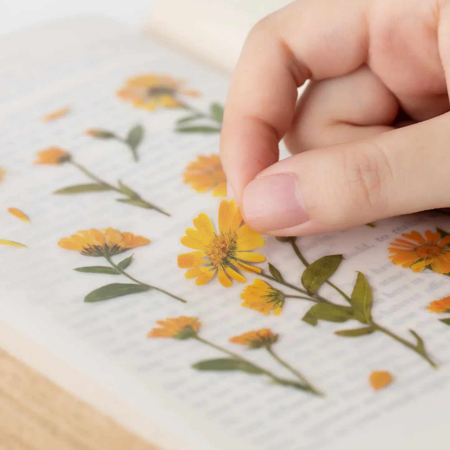 Calendula Pressed Flower Sticker Sheet