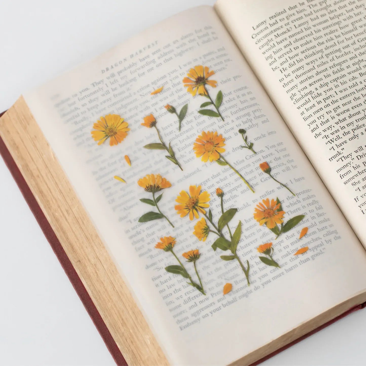 Calendula Pressed Flower Sticker Sheet