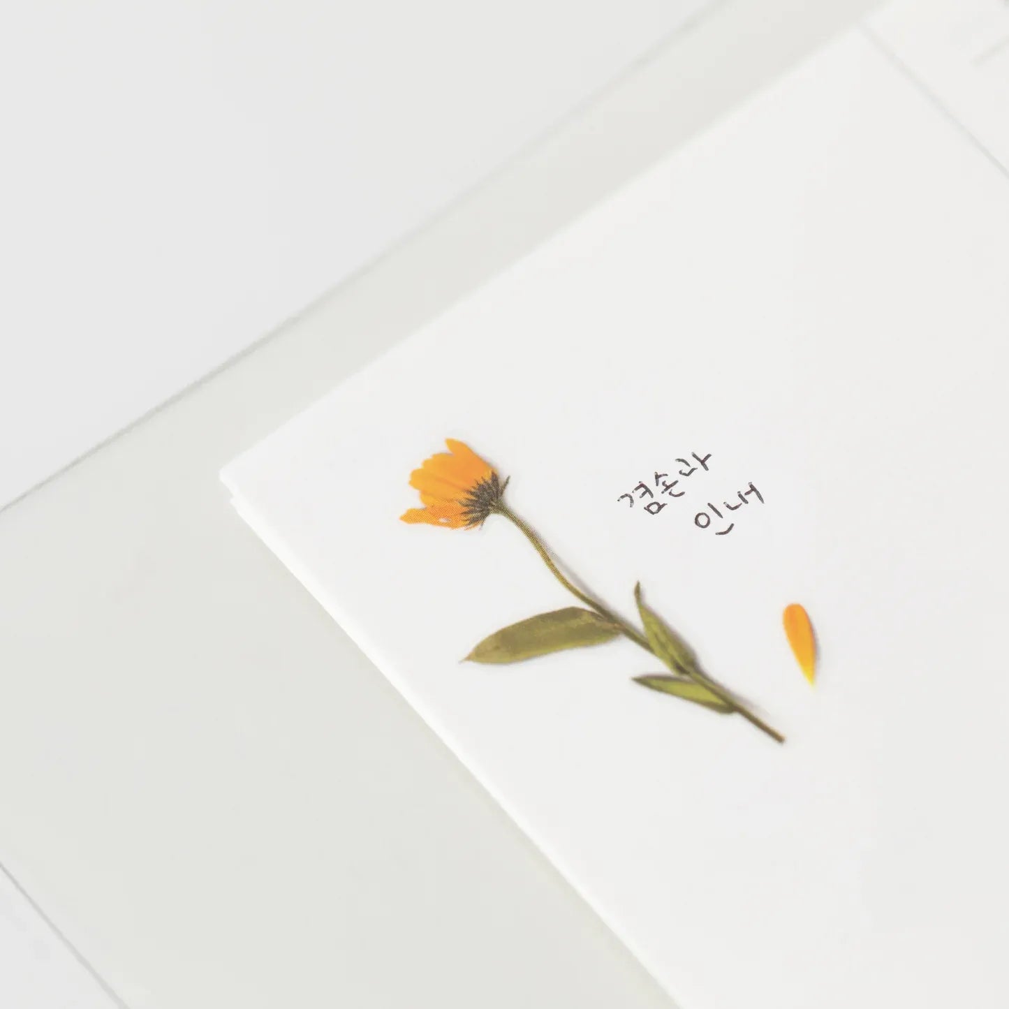 Calendula Pressed Flower Sticker Sheet