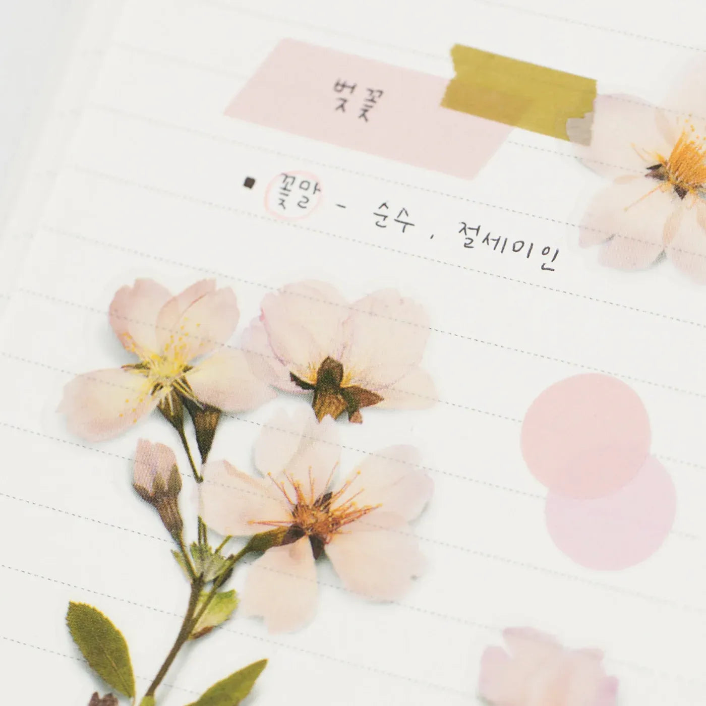 Cherry Blossom Pressed Flower Sticker Sheet