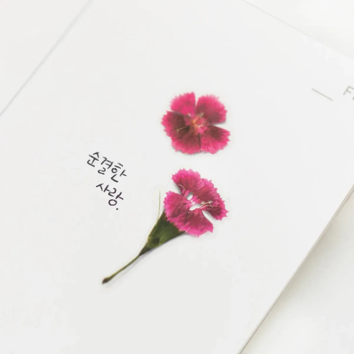 China Pink Pressed Flower Sticker Sheet