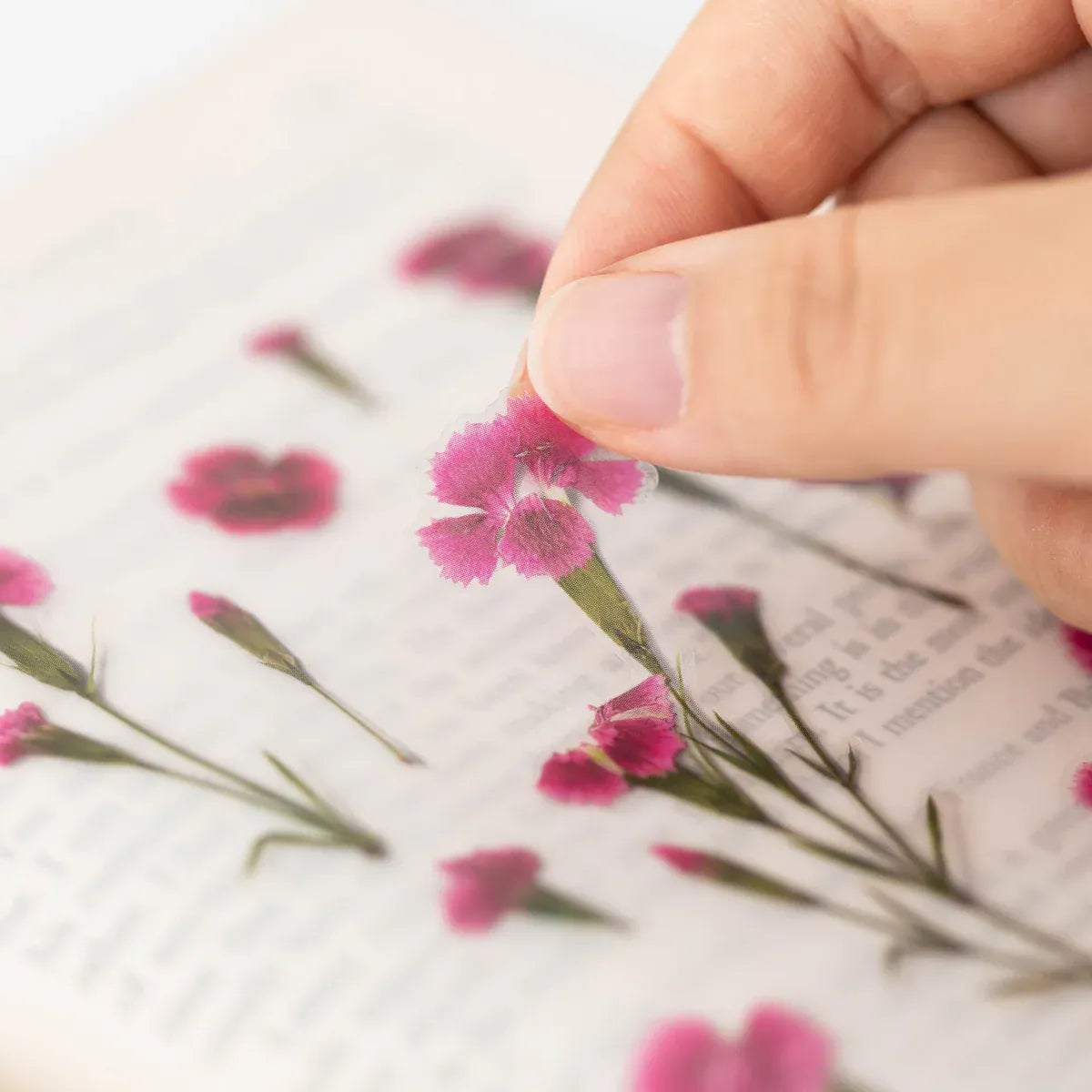 China Pink Pressed Flower Sticker Sheet
