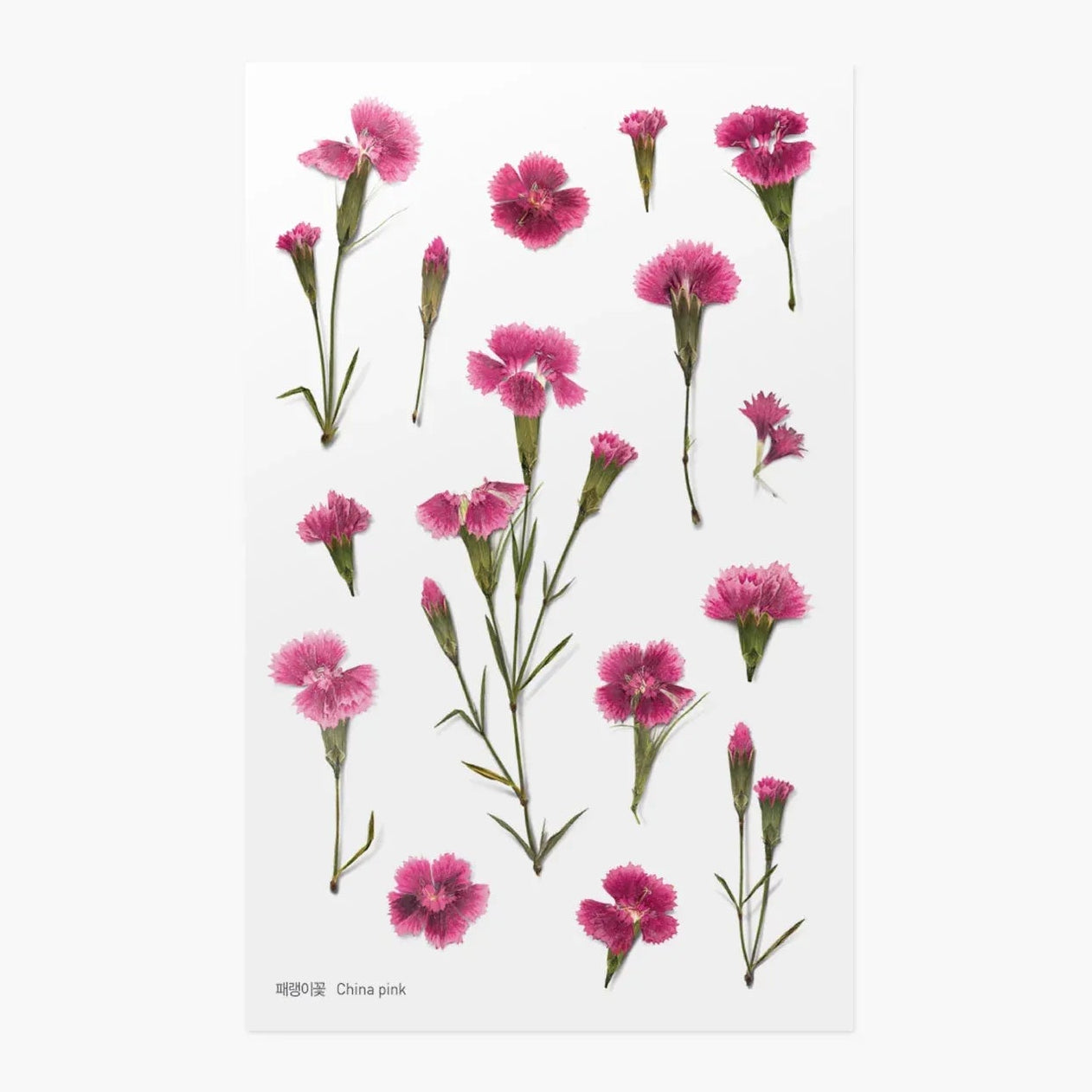 China Pink Pressed Flower Sticker Sheet