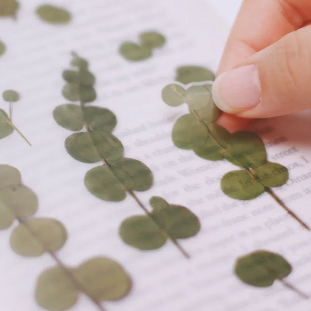 Eucalyptus Pressed Flower Sticker Sheet