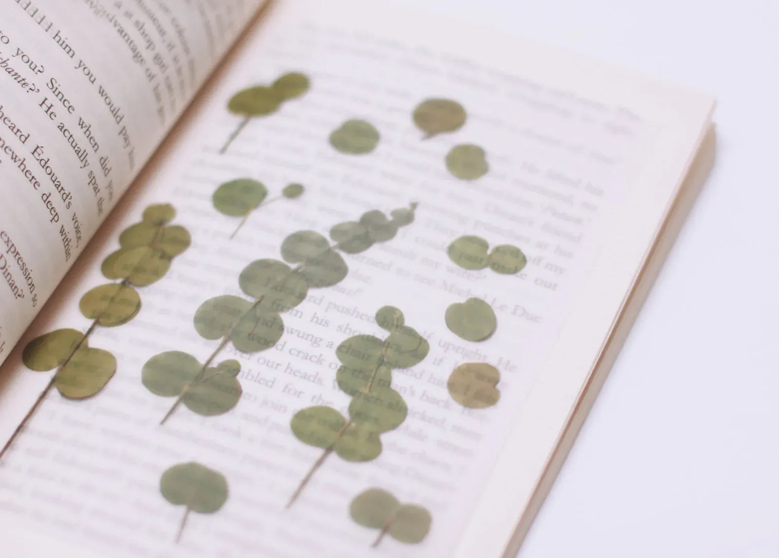 Eucalyptus Pressed Flower Sticker Sheet