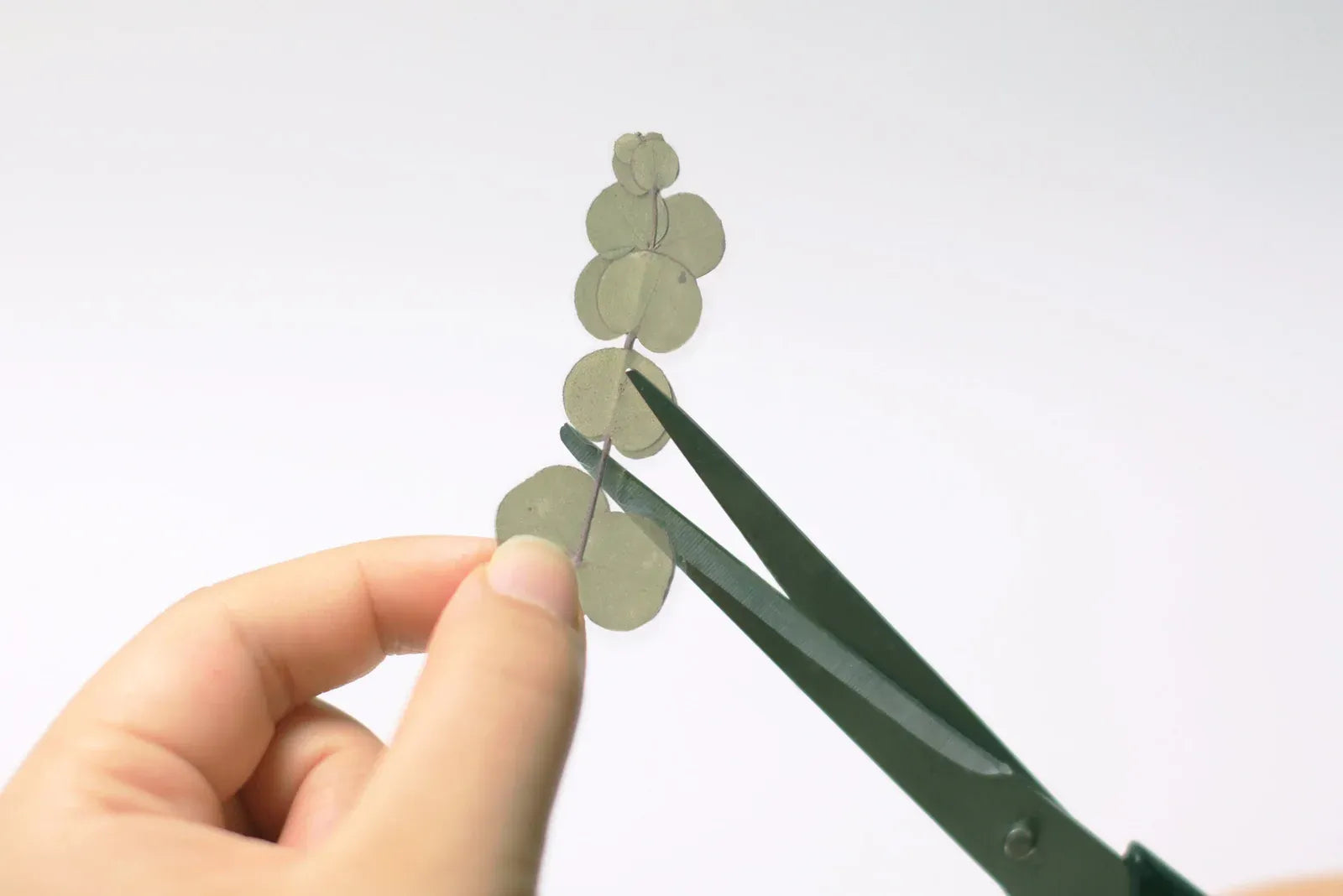 Eucalyptus Pressed Flower Sticker Sheet