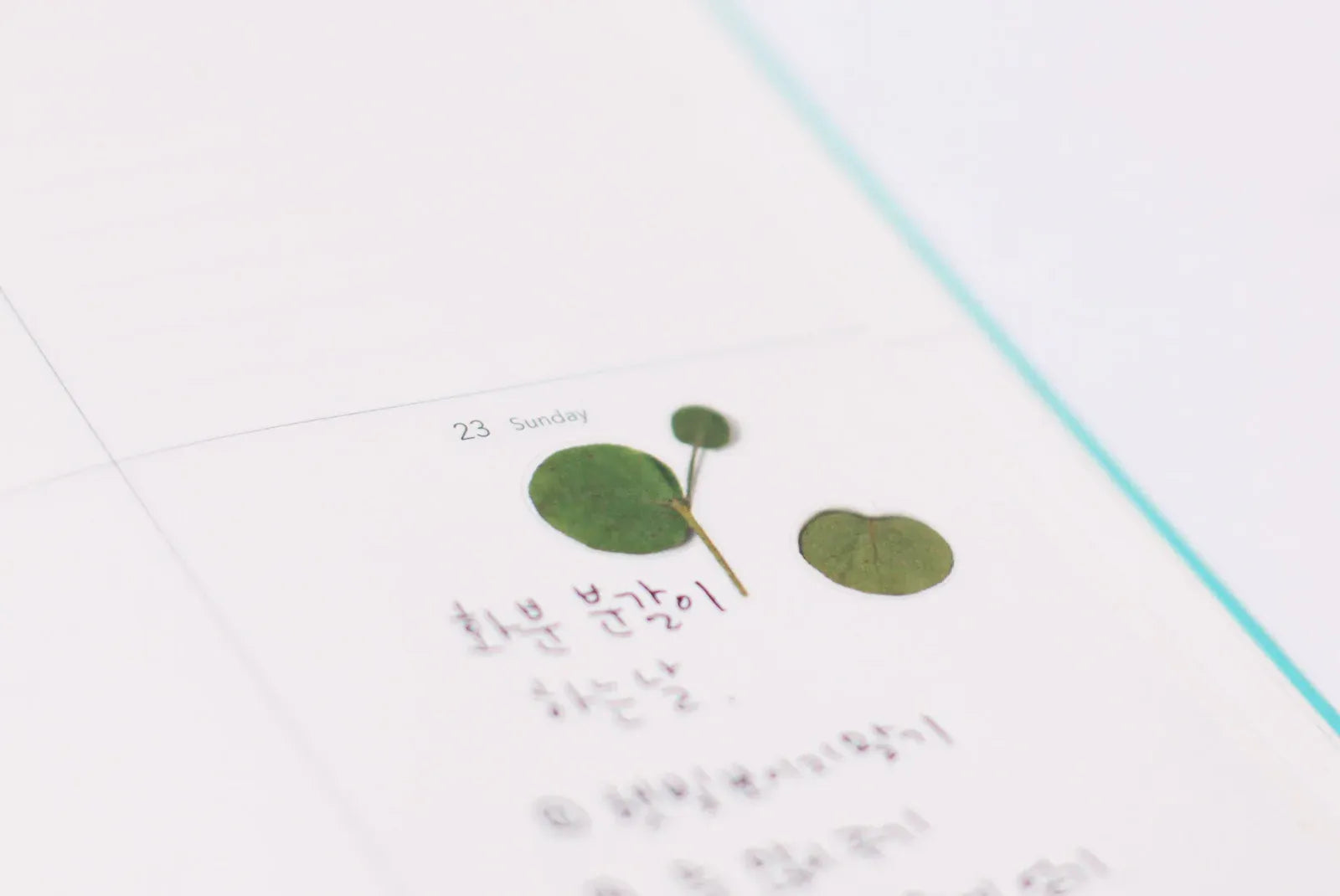 Eucalyptus Pressed Flower Sticker Sheet