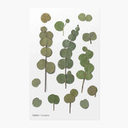 Eucalyptus Pressed Flower Sticker Sheet