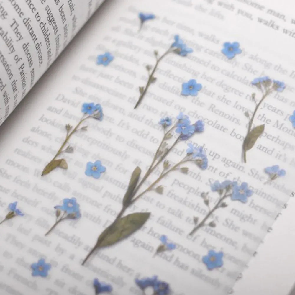Forget Me Not Pressed Flower Sticker Sheet