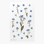 Forget Me Not Pressed Flower Sticker Sheet