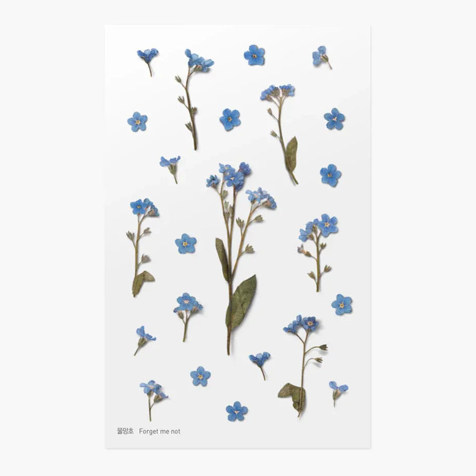 Forget Me Not Pressed Flower Sticker Sheet