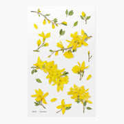 Forsythia Pressed Flower Sticker Sheet