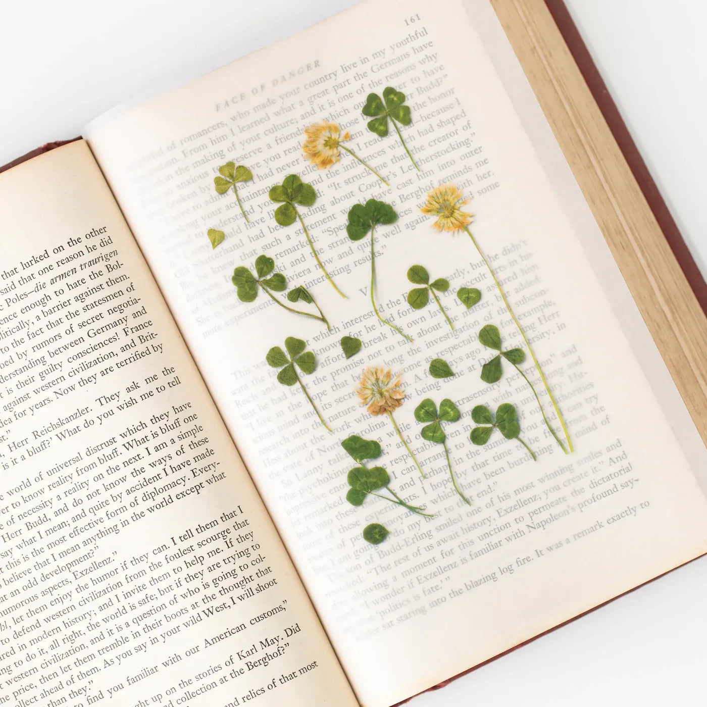Four Leaf Clover Pressed Flower Sticker Sheet