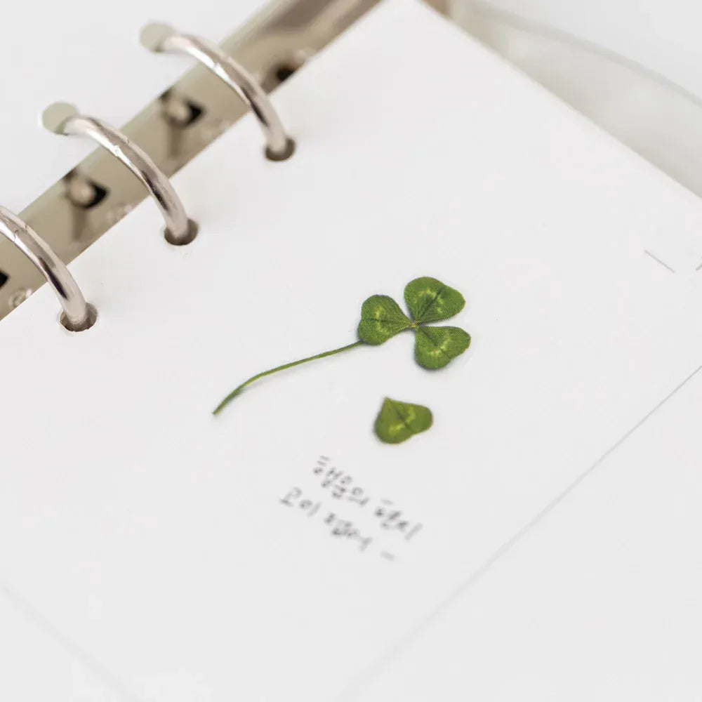 Four Leaf Clover Pressed Flower Sticker Sheet