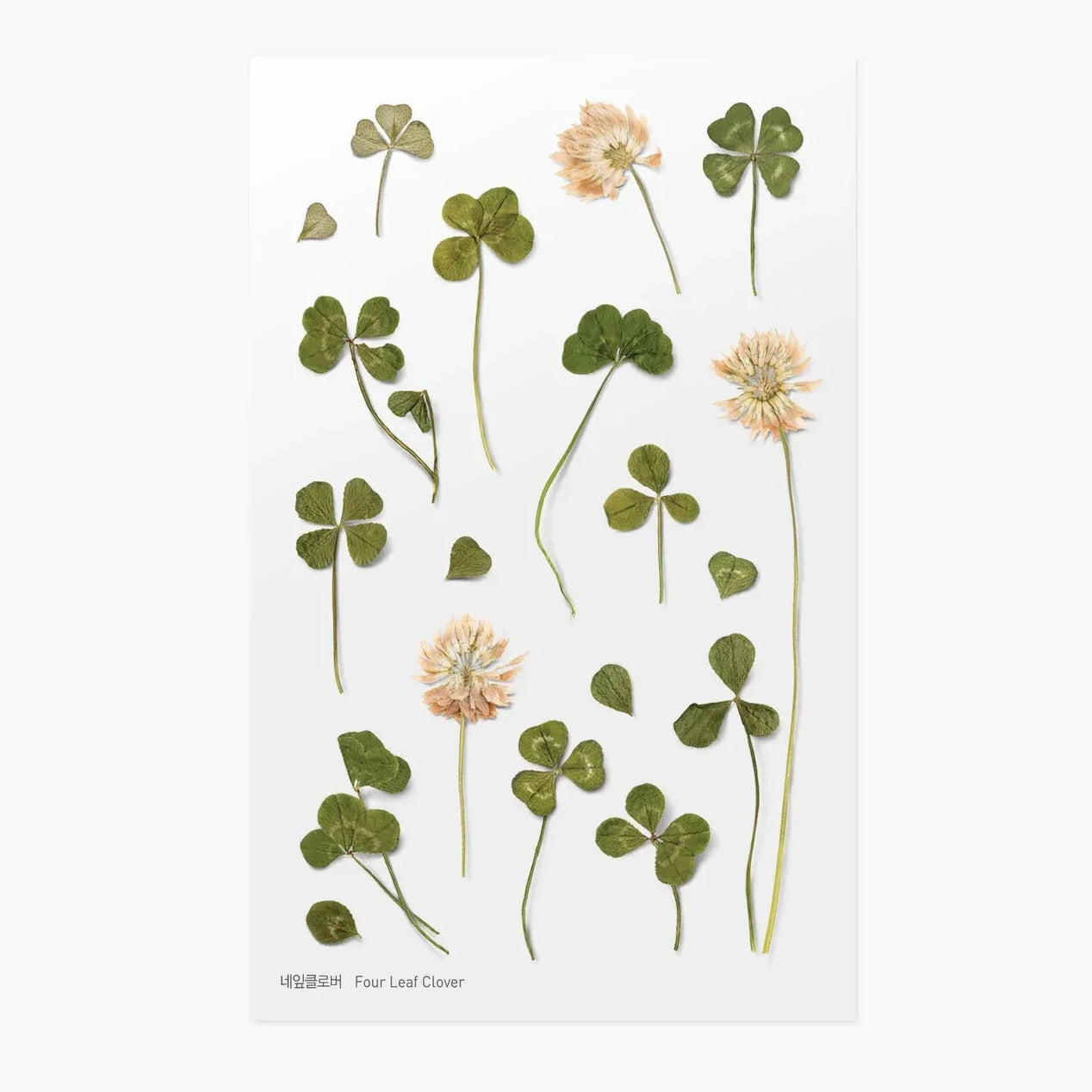 Four Leaf Clover Pressed Flower Sticker Sheet
