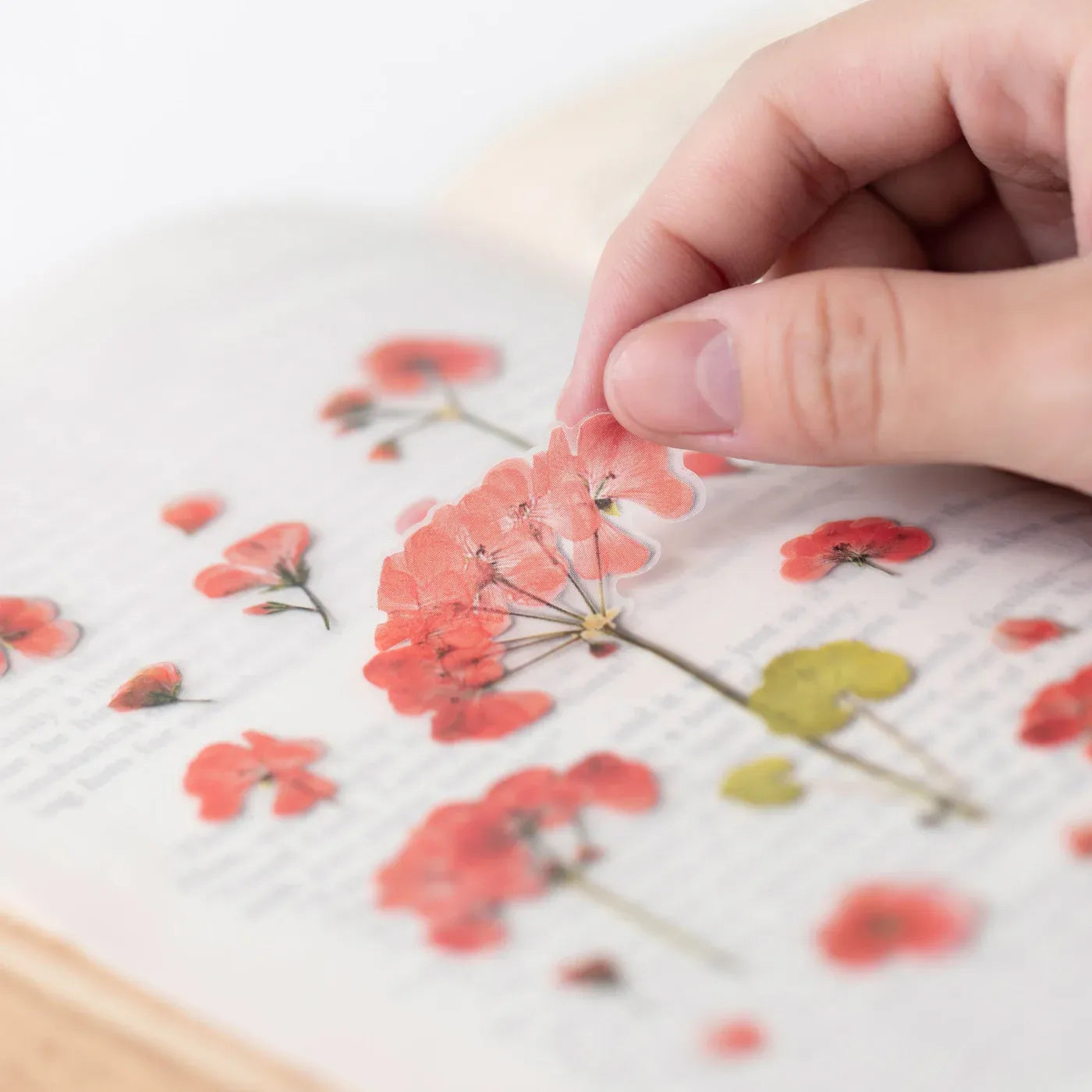 Geranium Pressed Flower Sticker Sheet