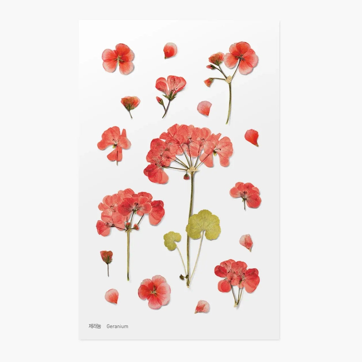 Geranium Pressed Flower Sticker Sheet