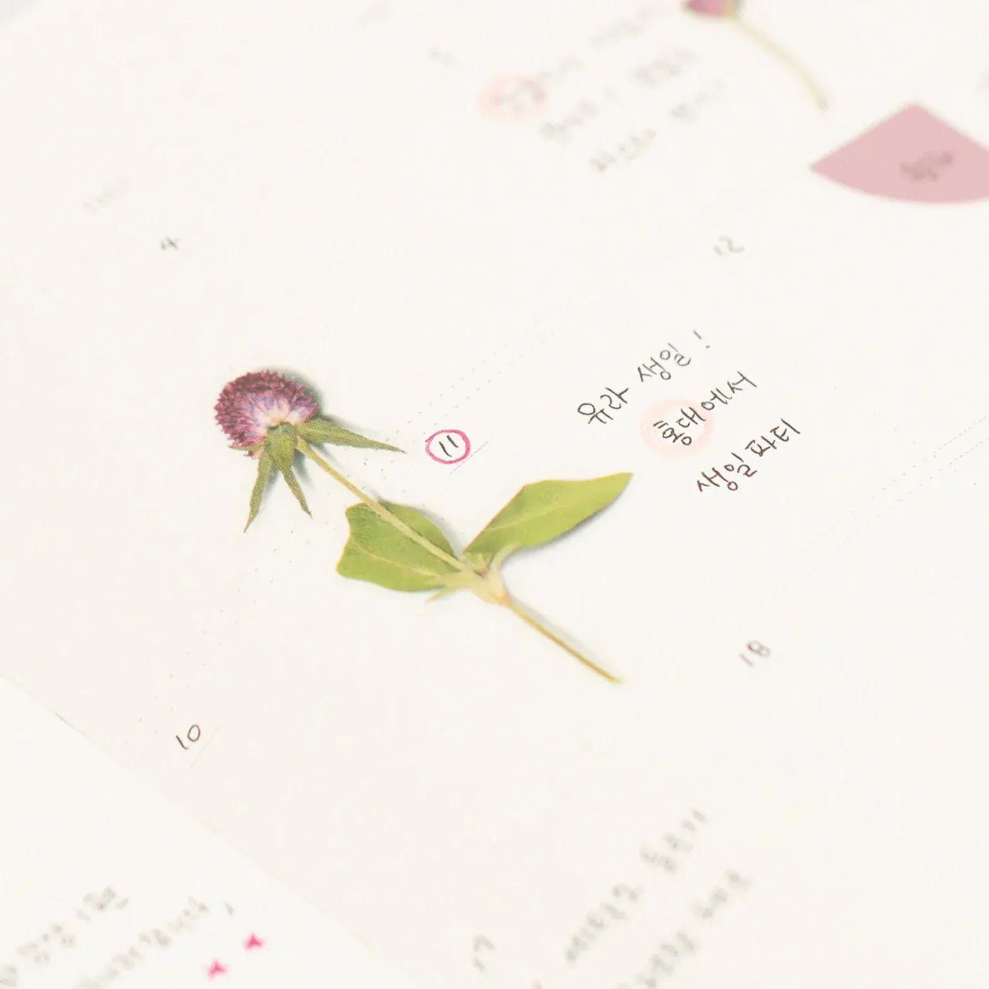 Globe Amaranth Pressed Flower Sticker Sheet