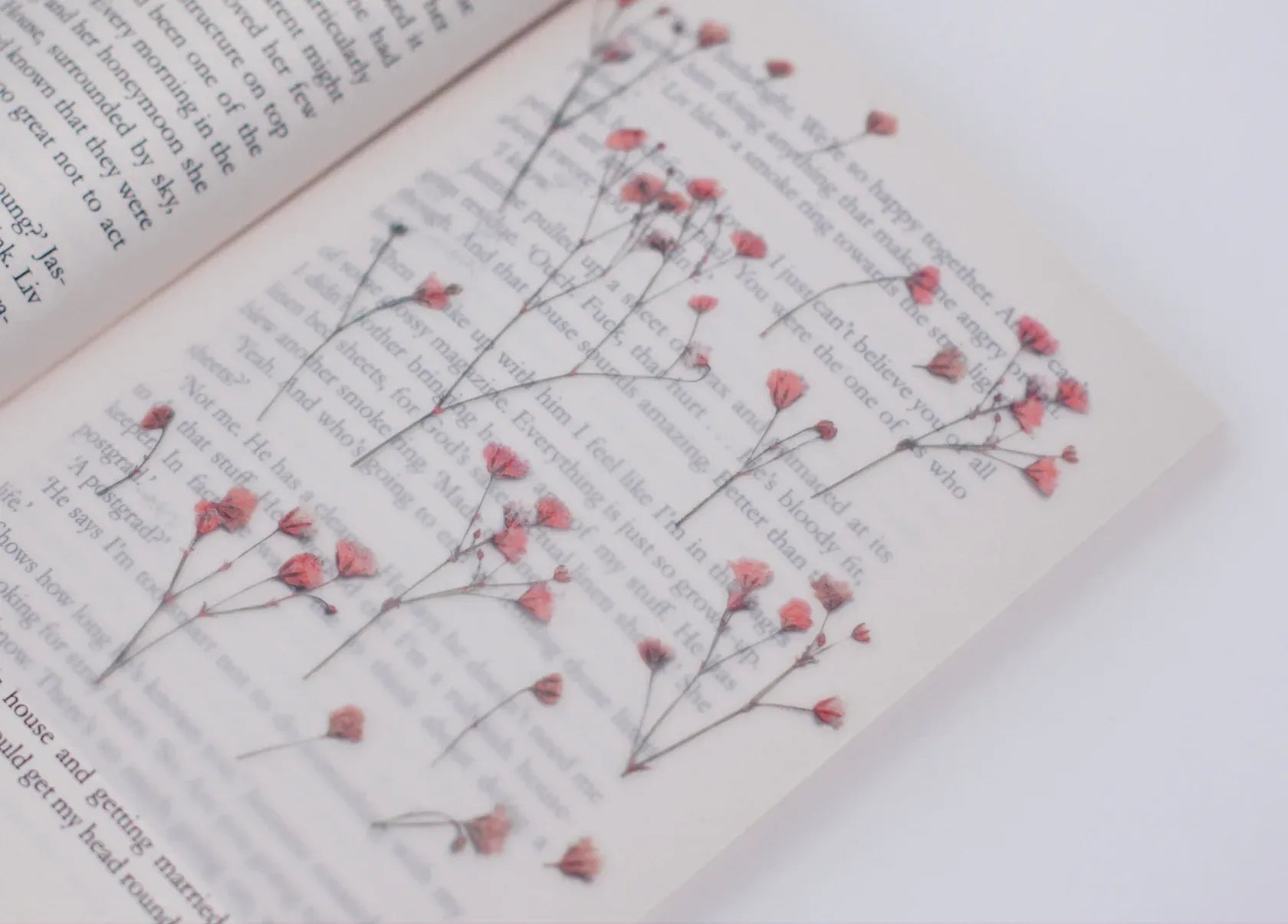 Gypsophila Baby's Breath Pressed Flower Sticker Sheet