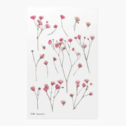 Gypsophila Baby's Breath Pressed Flower Sticker Sheet