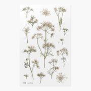 Illustration of lace flowers on a white background