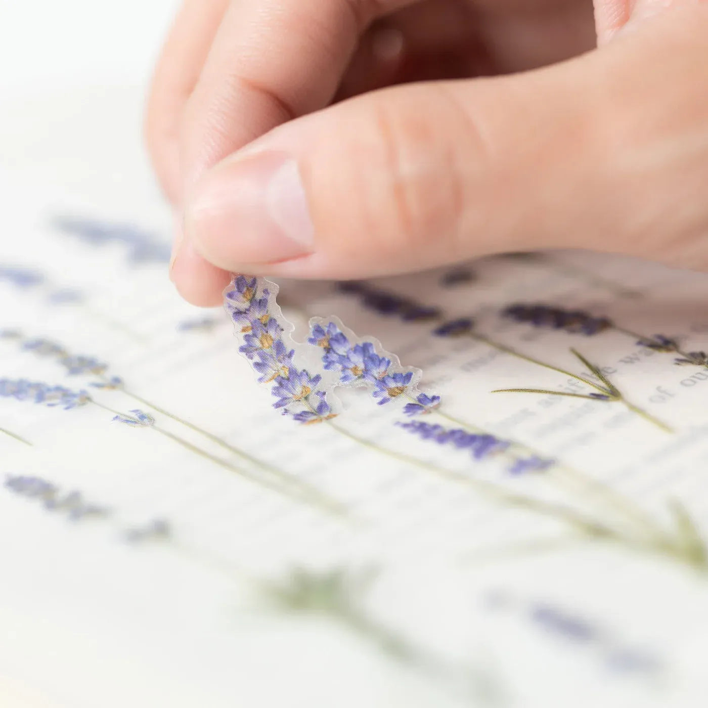 Lavender Pressed Flower Sticker Sheet