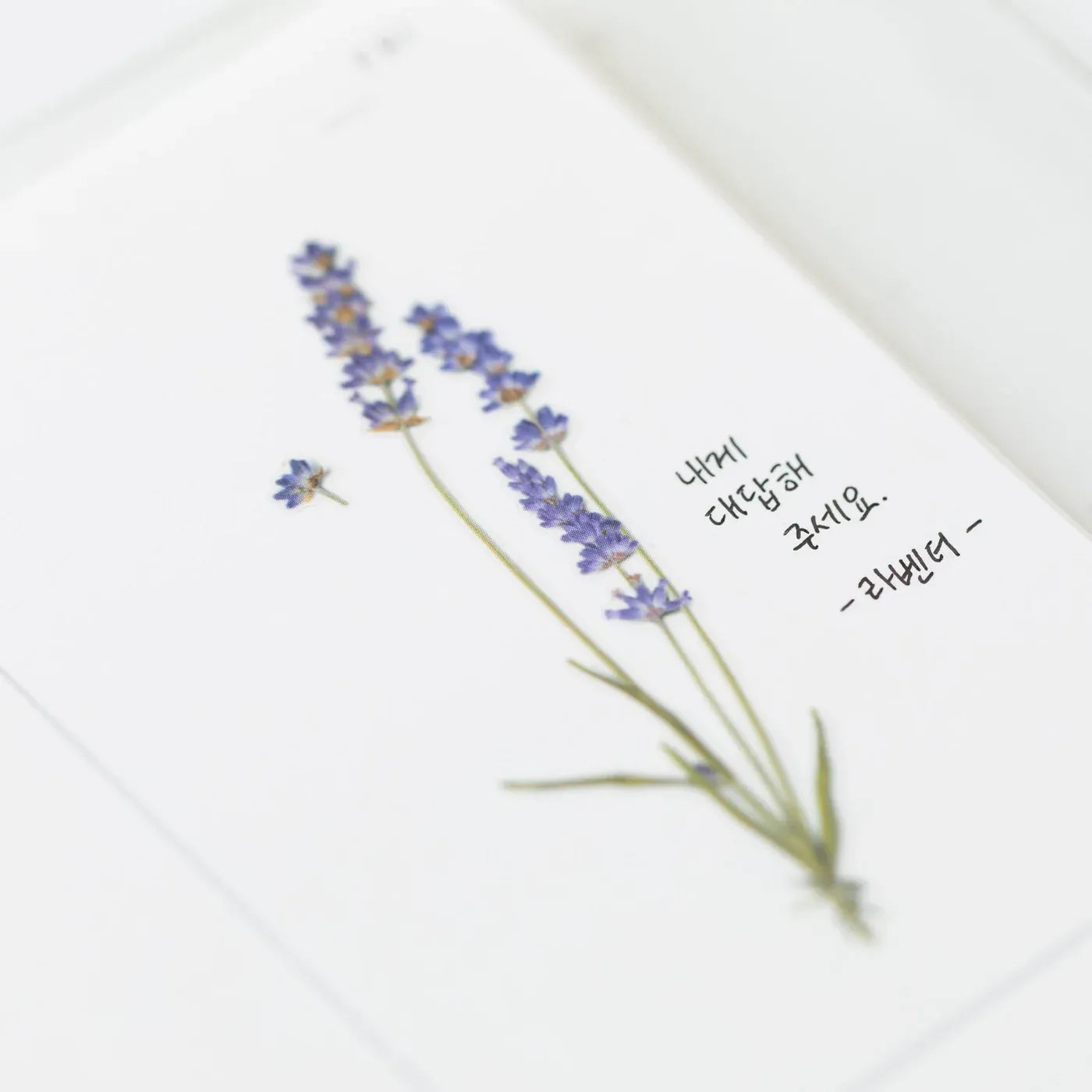 Lavender Pressed Flower Sticker Sheet