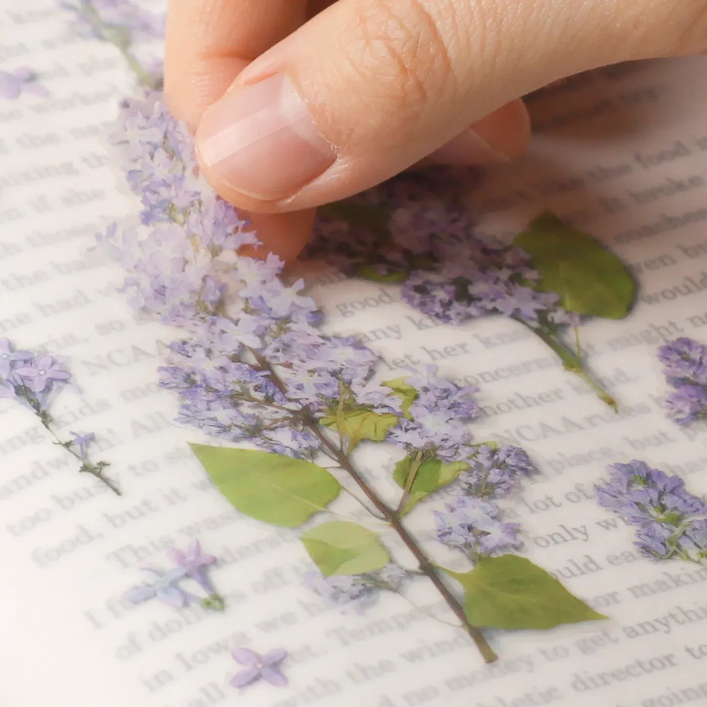 Lilac Pressed Flower Sticker Sheet