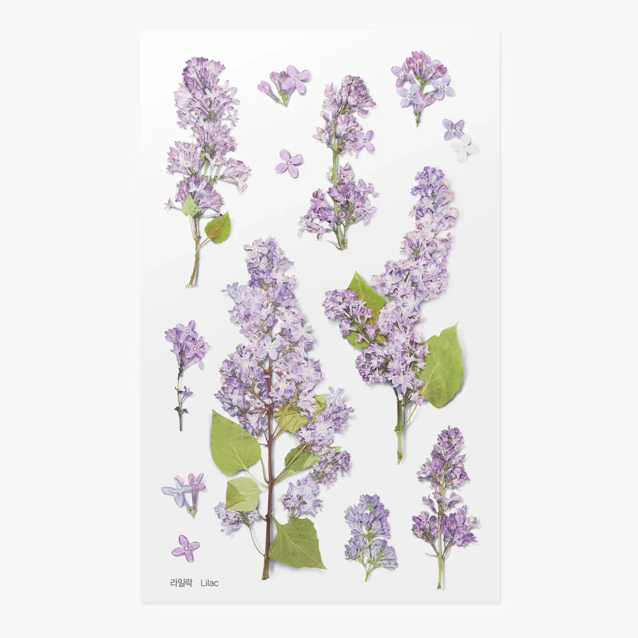 Lilac Pressed Flower Sticker Sheet