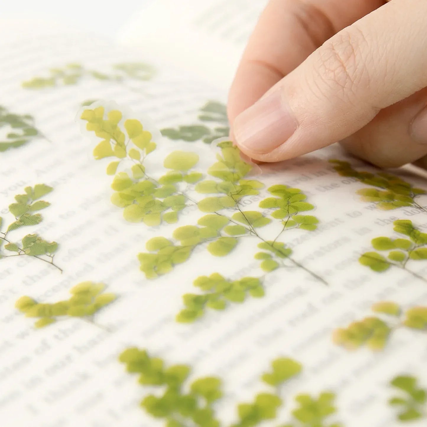 Maidenhair Fern (Adiantum) Pressed Flower Sticker Sheet