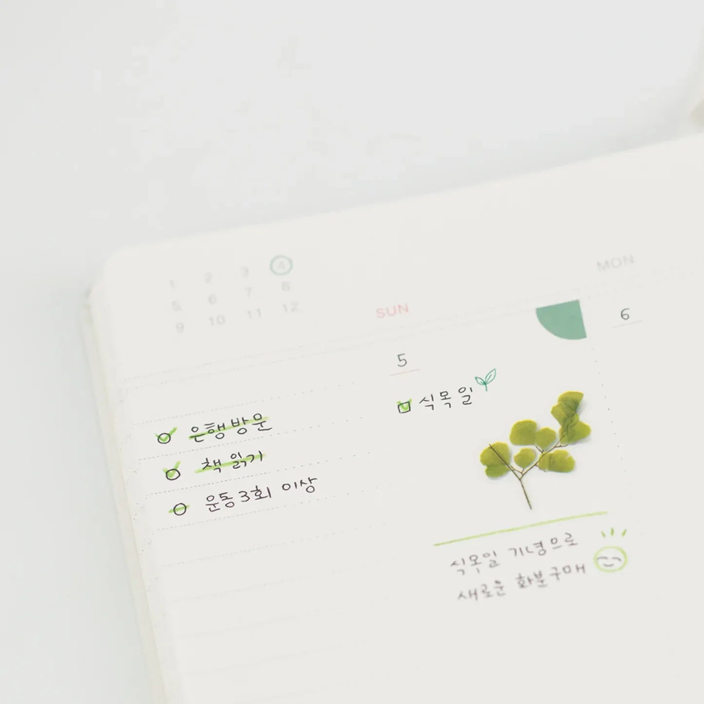 Maidenhair Fern (Adiantum) Pressed Flower Sticker Sheet