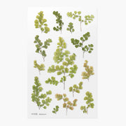 Set of green leafy stickers on a white background