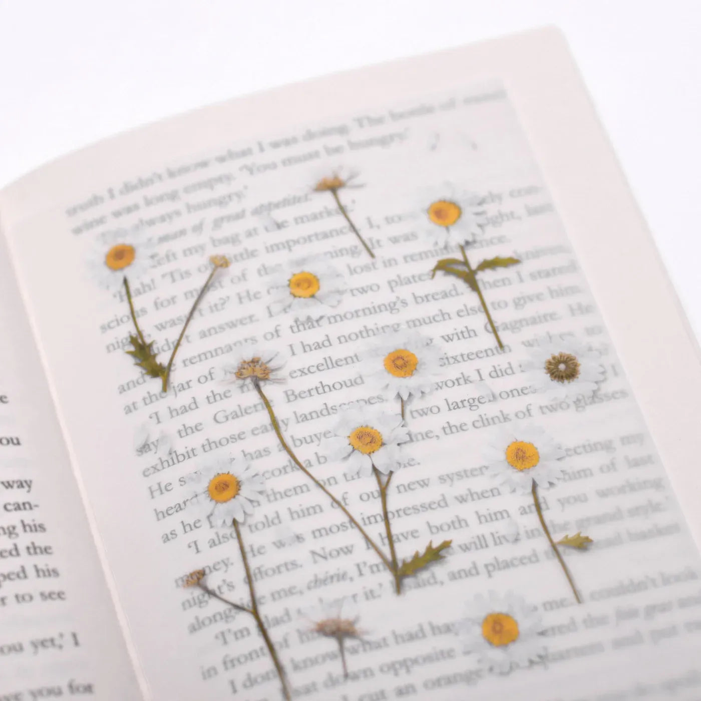 Marguerite Daisy Pressed Flower Sticker Sheet