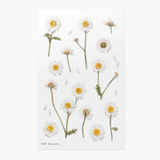 Marguerite Daisy Pressed Flower Sticker Sheet