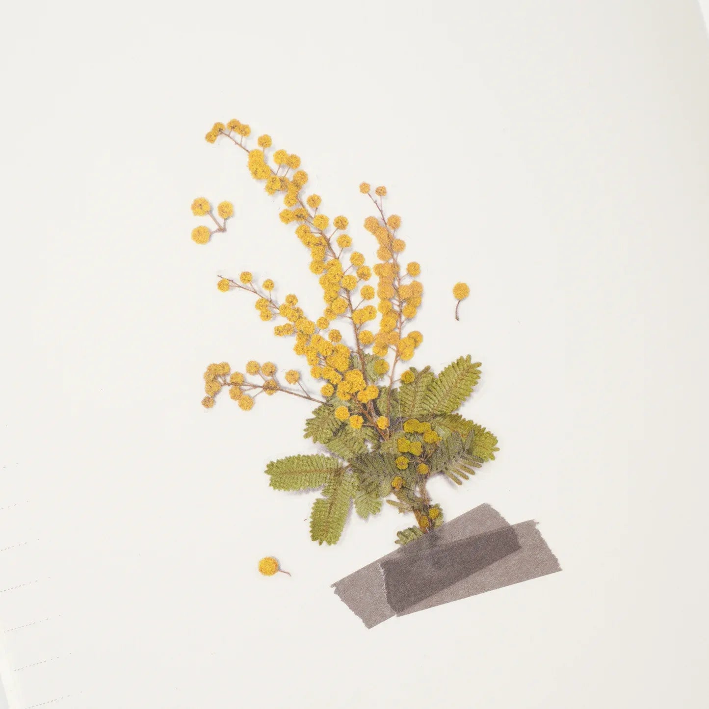 Mimosa Pressed Flower Sticker Sheet