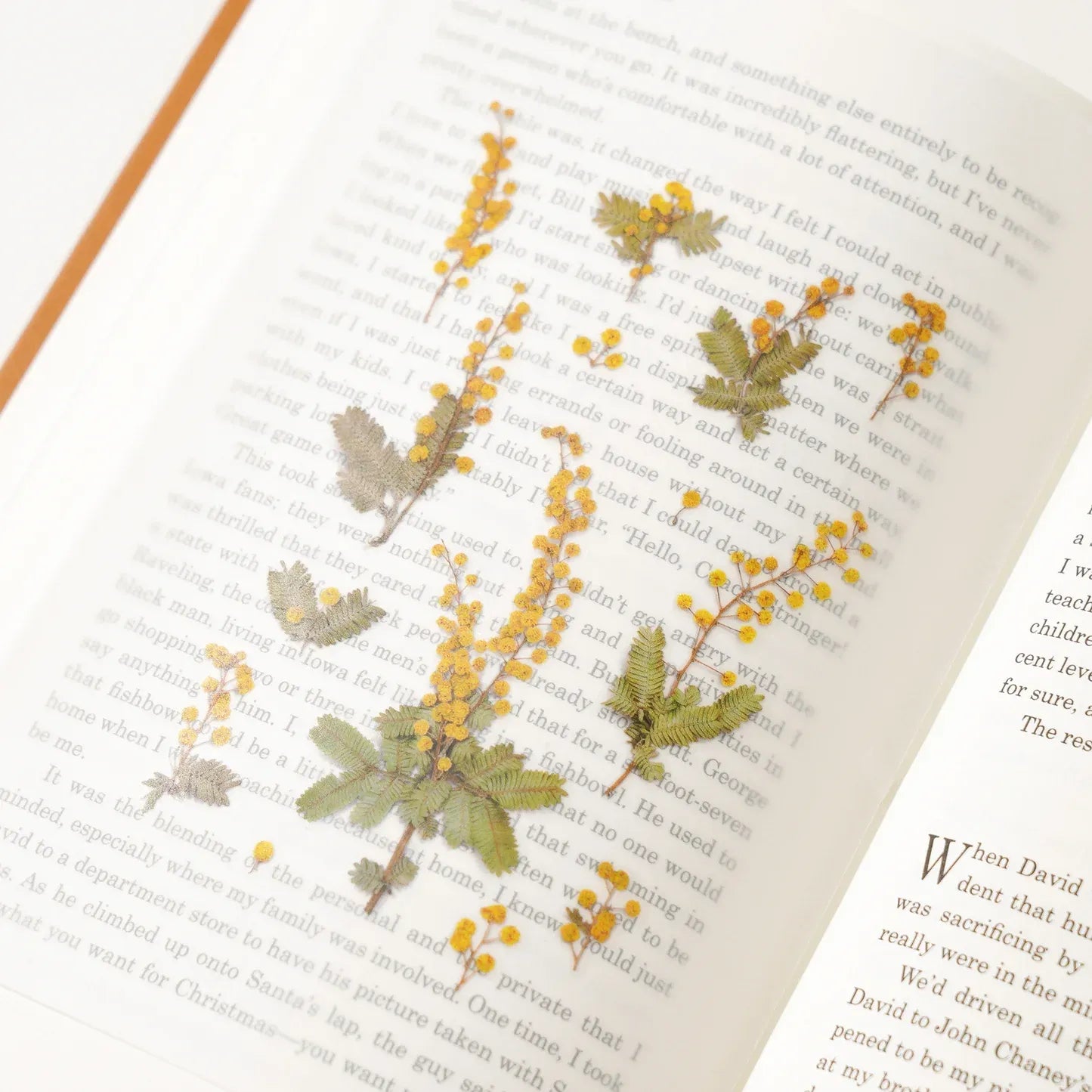 Mimosa Pressed Flower Sticker Sheet