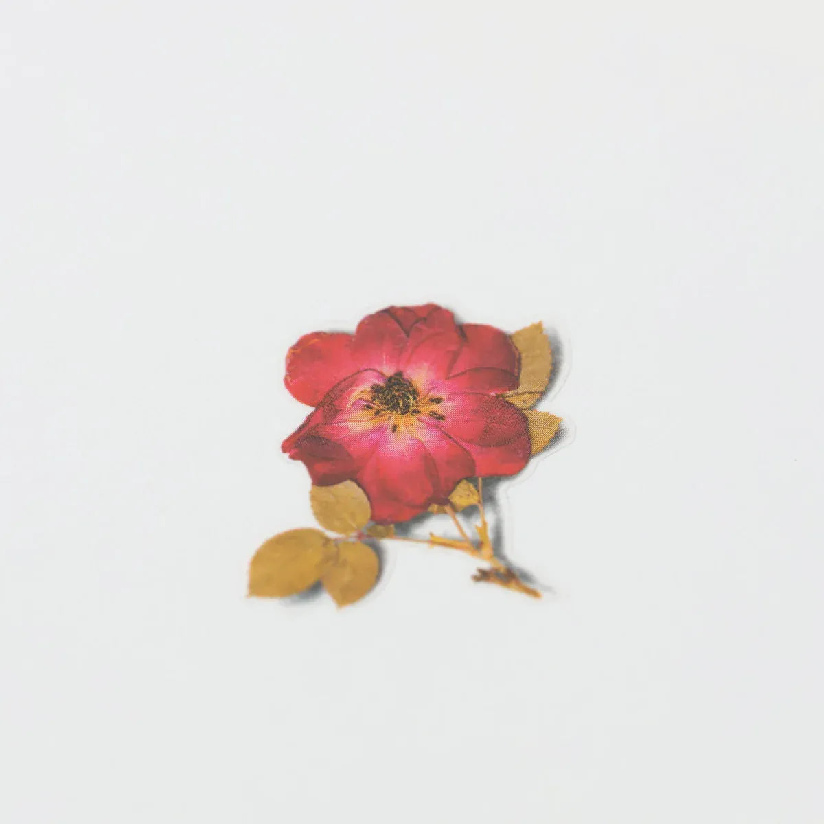 Mini Rose Pressed Flower Sticker Sheet