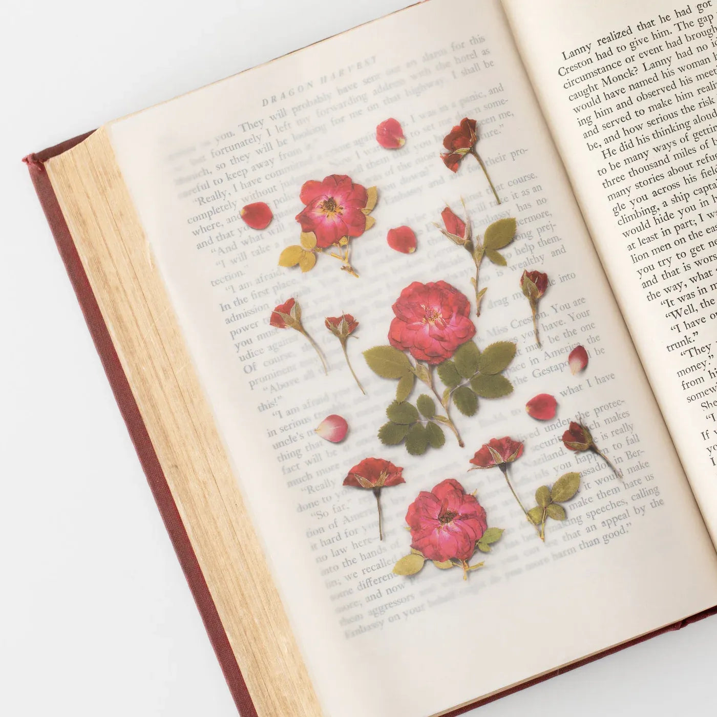 Mini Rose Pressed Flower Sticker Sheet