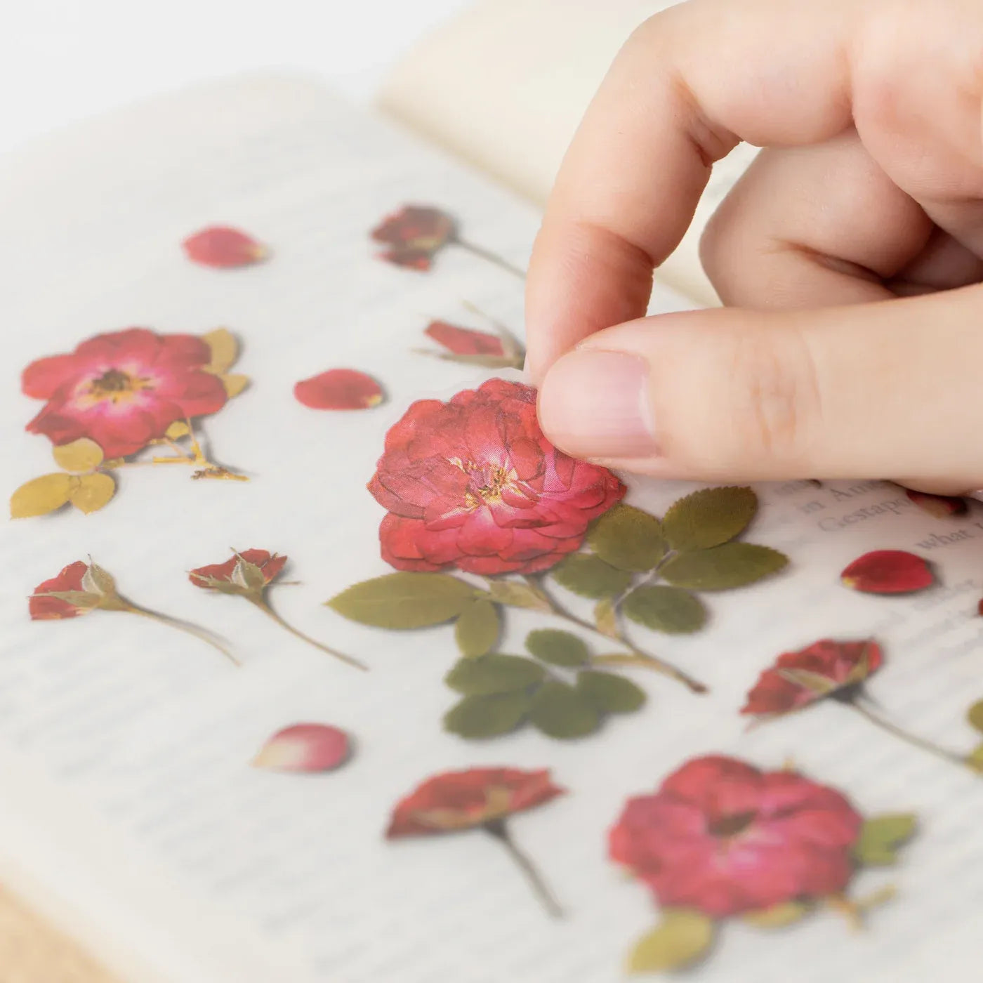 Mini Rose Pressed Flower Sticker Sheet