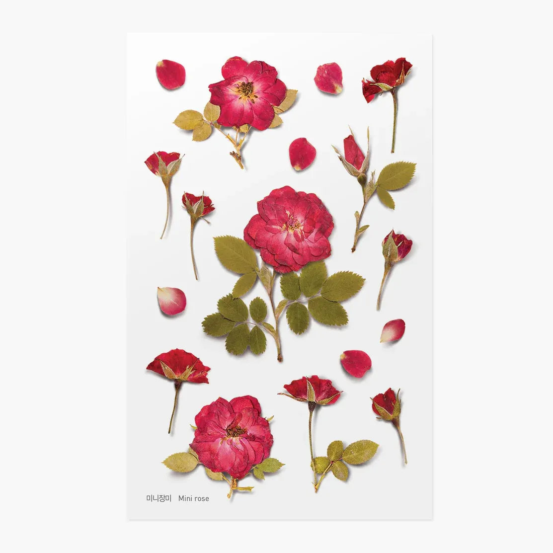 Mini Rose Pressed Flower Sticker Sheet