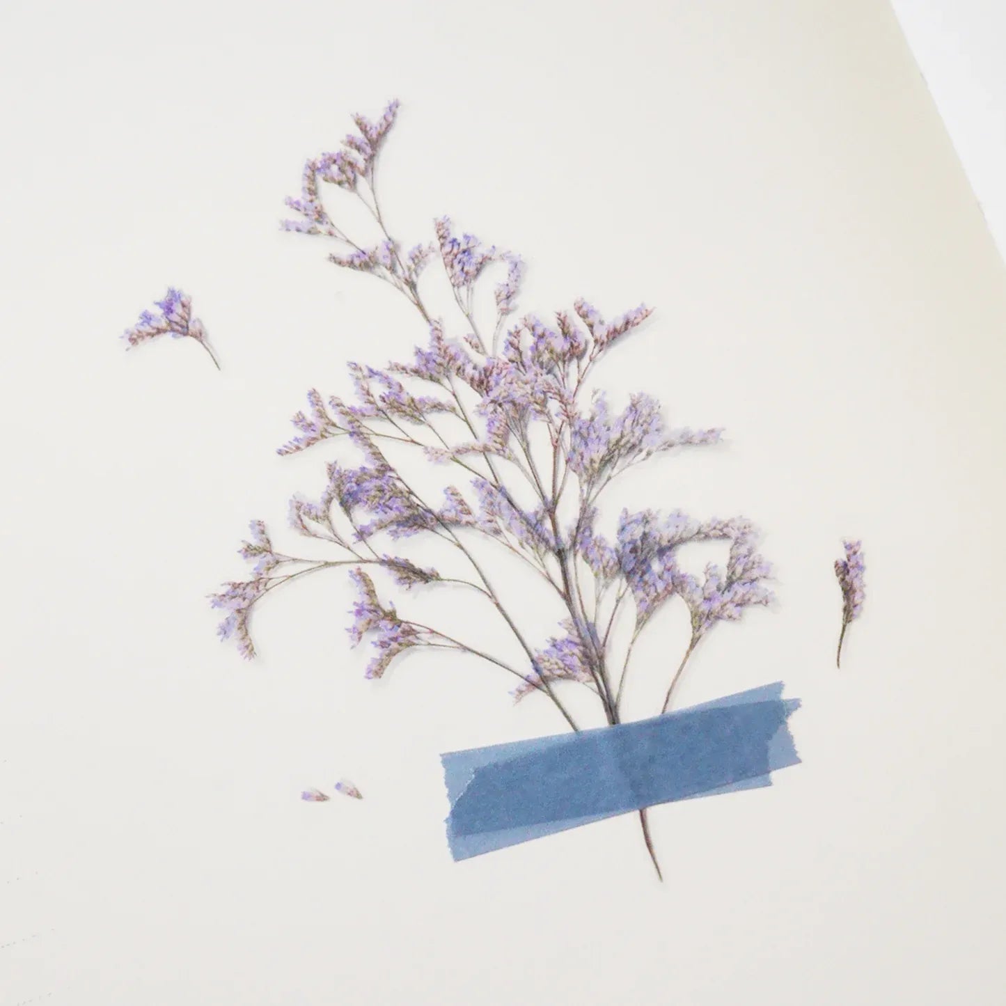 Misty Blue Sea Lavender Pressed Flower Sticker Sheet