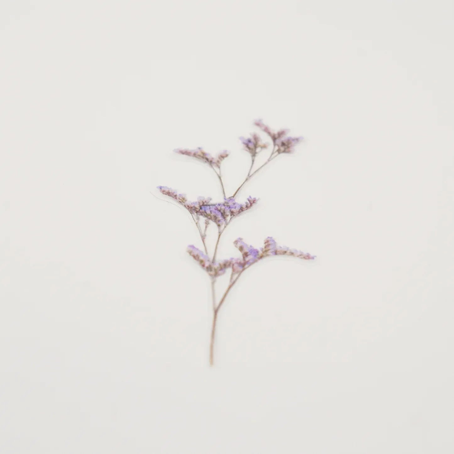 Misty Blue Sea Lavender Pressed Flower Sticker Sheet