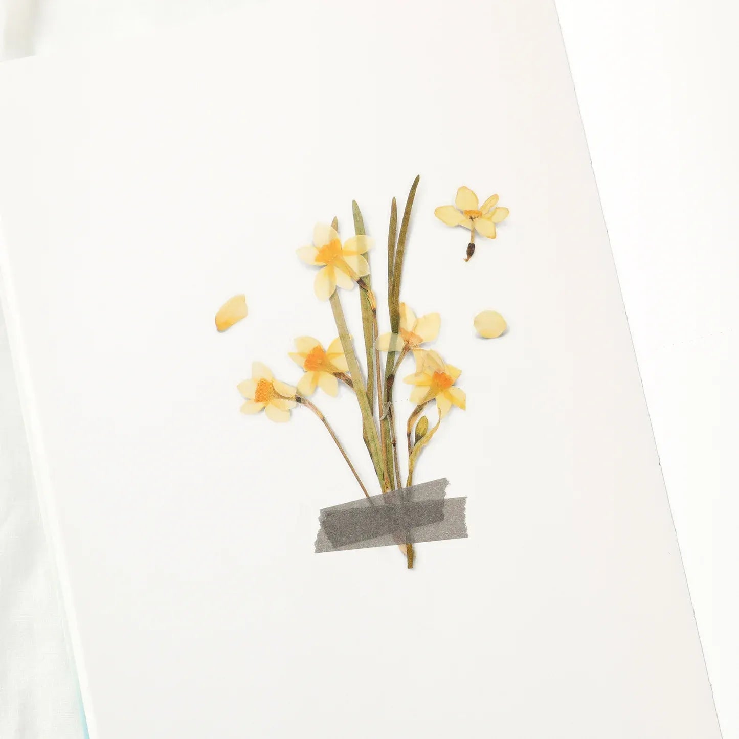 Narcissus Pressed Flower Sticker Sheet