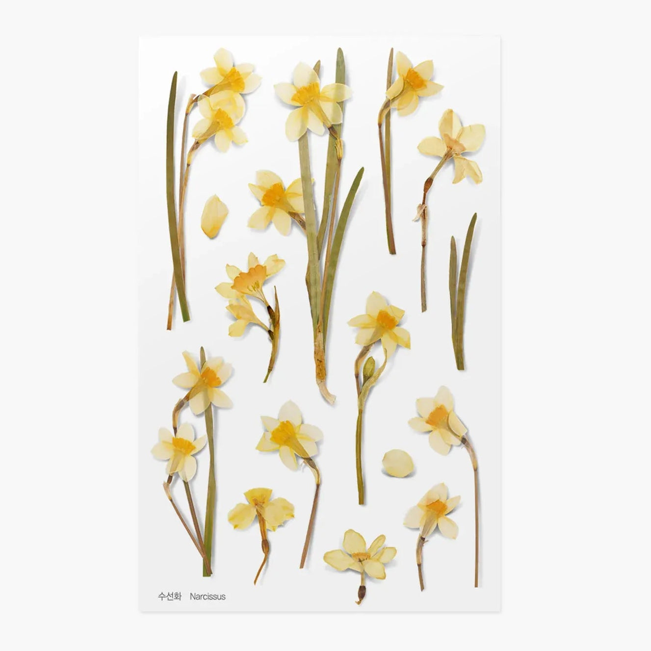 Decorative stickers with yellow flowers on a white background